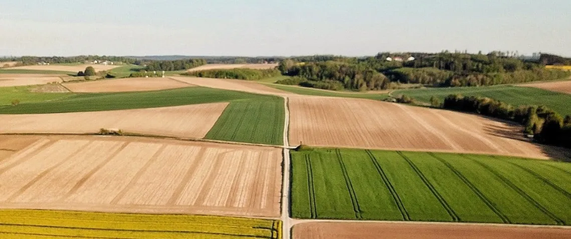 Zdjęcie Bezpłatny wzór umowy najmu gruntu pod reklamę: kluczowe elementy