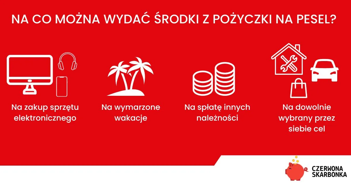 Zdjęcie Czy można wziąć chwilówkę na PESEL? Sprawdź, co musisz wiedzieć