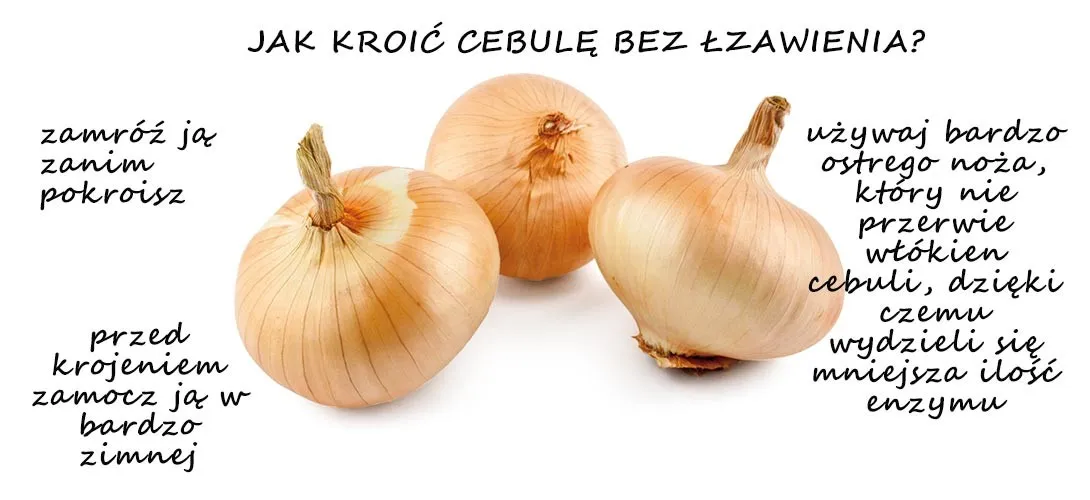Zdjęcie Czy cebula jest zdrowa? Naukowe fakty o właściwościach leczniczych cebuli
