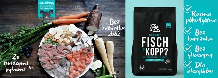 Zdjęcie Gdzie kupić mięso dla psa? Sprawdzone miejsca i najlepsze oferty