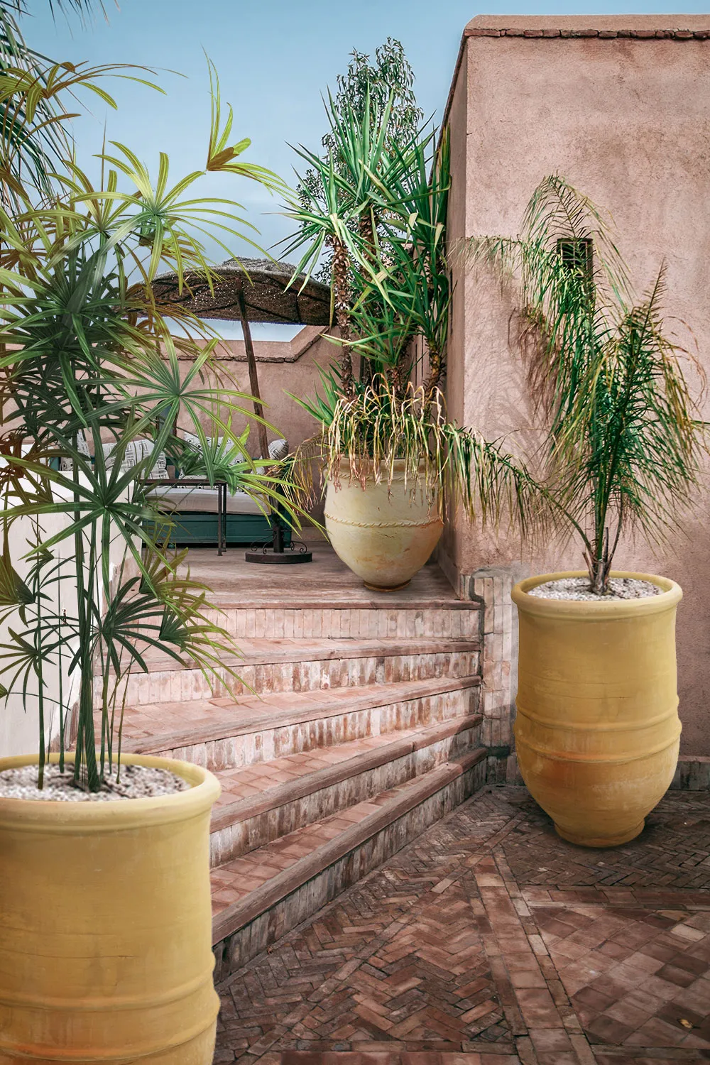 Zdjęcie Las mejores plantas que poner en tinajas de barro para tu jardín