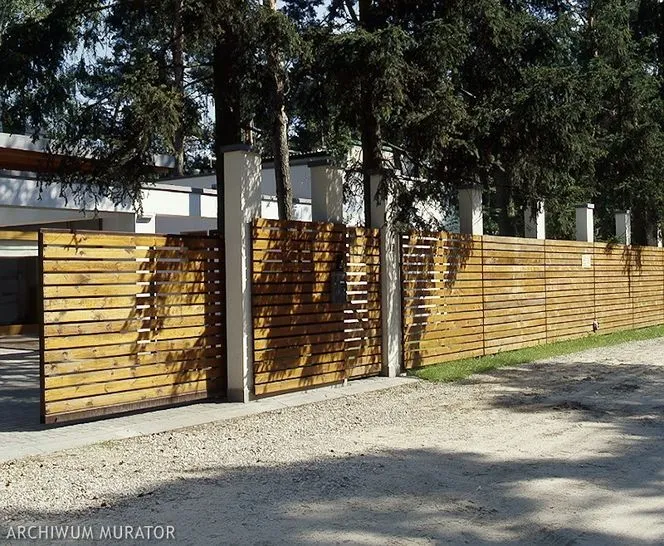 Zdjęcie Jakie drewno na ogrodzenie? Wybierz najlepsze gatunki dla swojego płotu