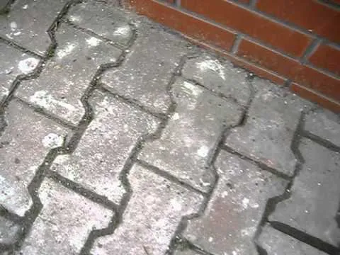 Zdjęcie Skuteczne sposoby na usunięcie cementu z pomnika bez uszkodzeń