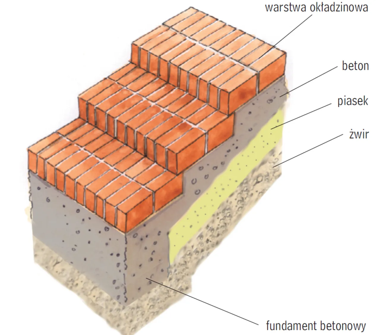 Zdjęcie Zbrojenie schodów na gruncie: Poradnik krok po kroku