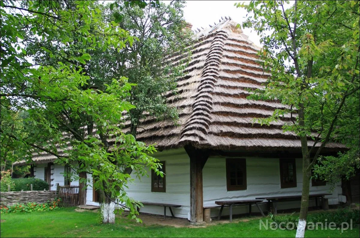 Zdjęcie Skansen w Markowej: Odkryj fascynującą historię i tradycje wsi