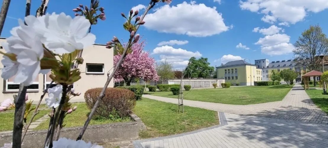 Zdjęcie Ośrodek szkolno wychowawczy dla dzieci niesłyszących w Poznaniu - wyjątkowa edukacja i wsparcie