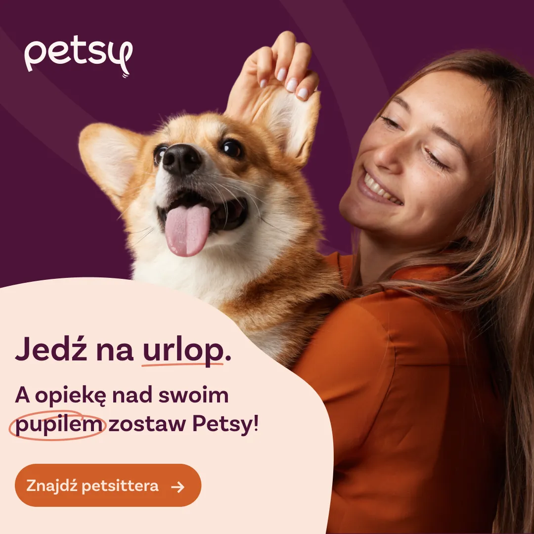 Zdjęcie Legendia czy można z psem? Sprawdź zasady wprowadzania zwierząt