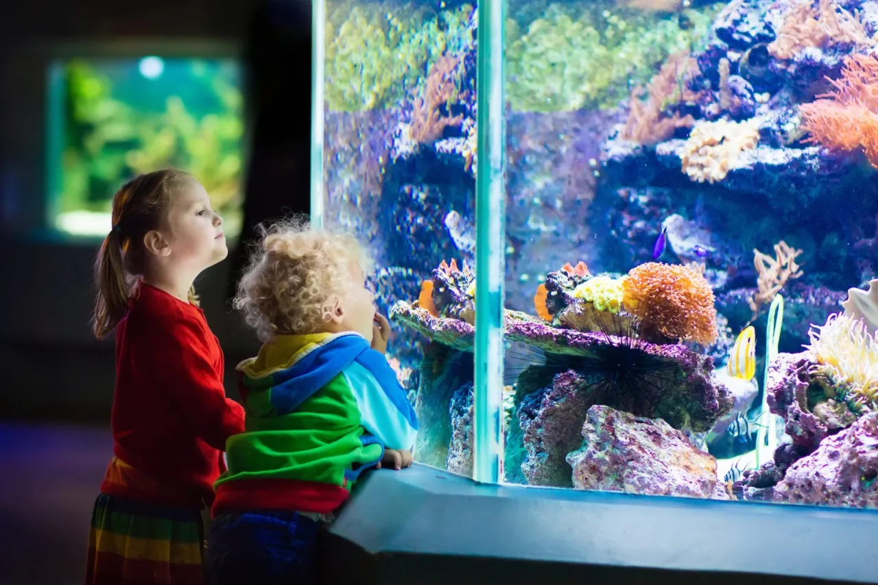 Zdjęcie Aktualny status budowy oceanarium w Katowicach i jego przyszłość