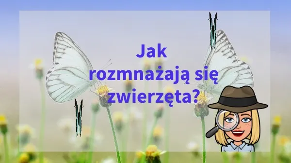 Zdjęcie Jak rozmnażają się winniczki? Odkryj fascynujący proces ich życia