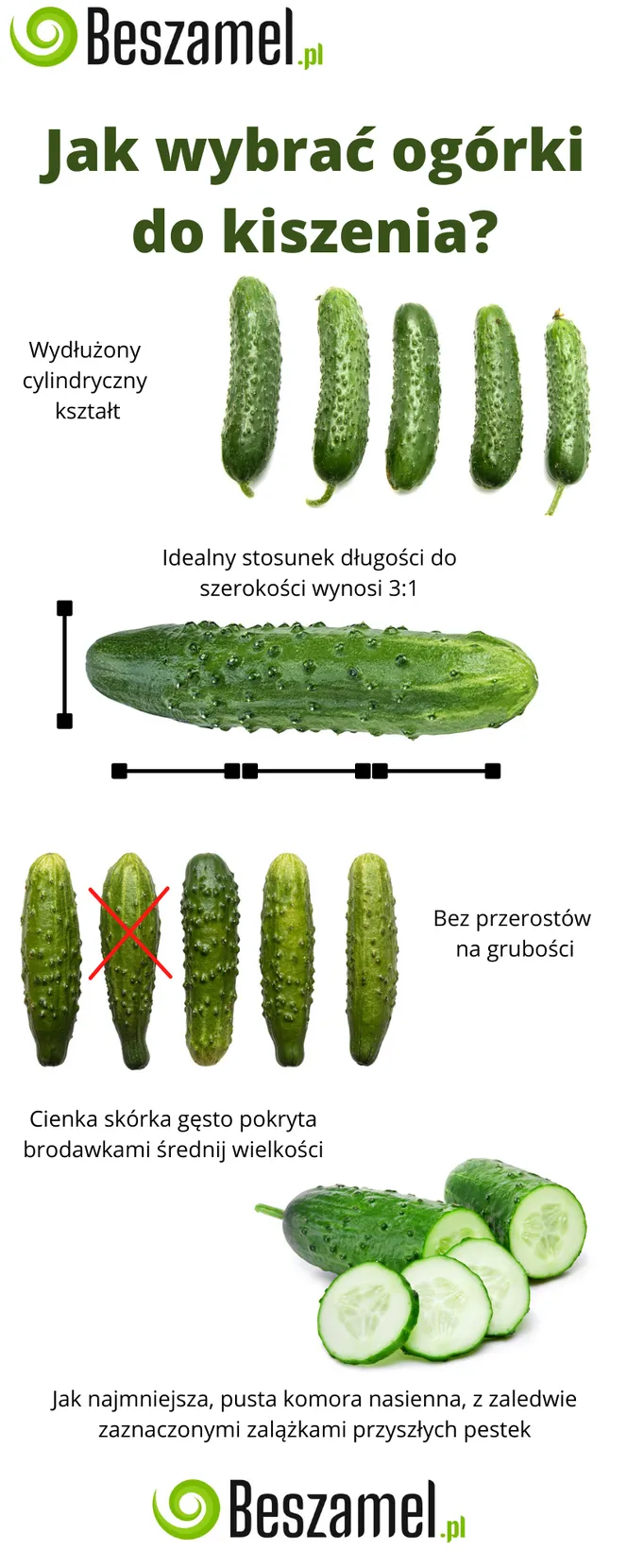 Zdjęcie Jakie odmiany ogórków do kiszenia – wybierz najlepsze dla siebie