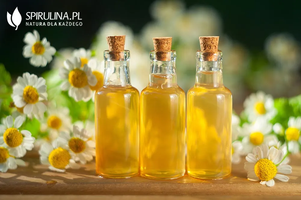 Zdjęcie Napar z rumianku jak zrobić - prosty sposób na zdrowie i relaks