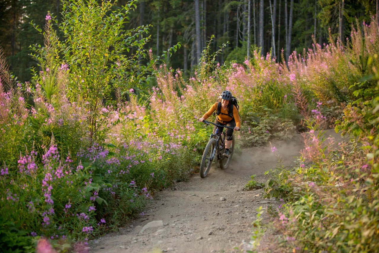 Zdjęcie Trasy rowerowe Podlasie: Odkryj najpiękniejsze szlaki rowerowe