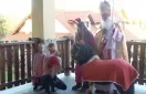 Zdjęcie Gdzie z dzieckiem w Rzeszowie? Odkryj najlepsze atrakcje dla rodzin