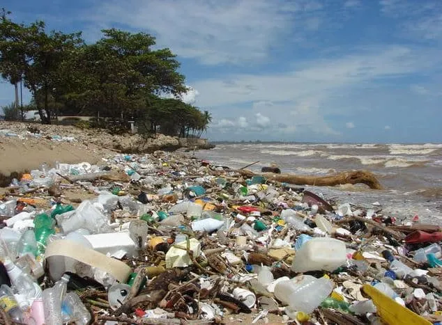 Zdjęcie Residuos tóxicos: impactos ocultos en la salud y el medio ambiente