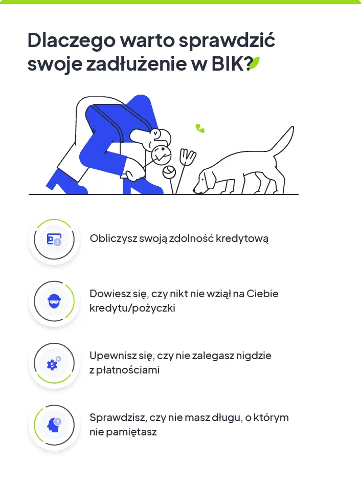 Zdjęcie Jak sprawdzić swoje zadłużenie w BIK: 5 prostych kroków online