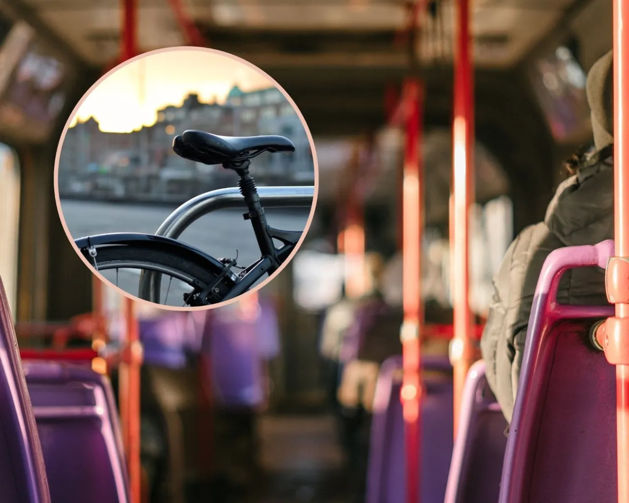 Zdjęcie Czy za rower w autobusie trzeba płacić? Sprawdź zasady transportu