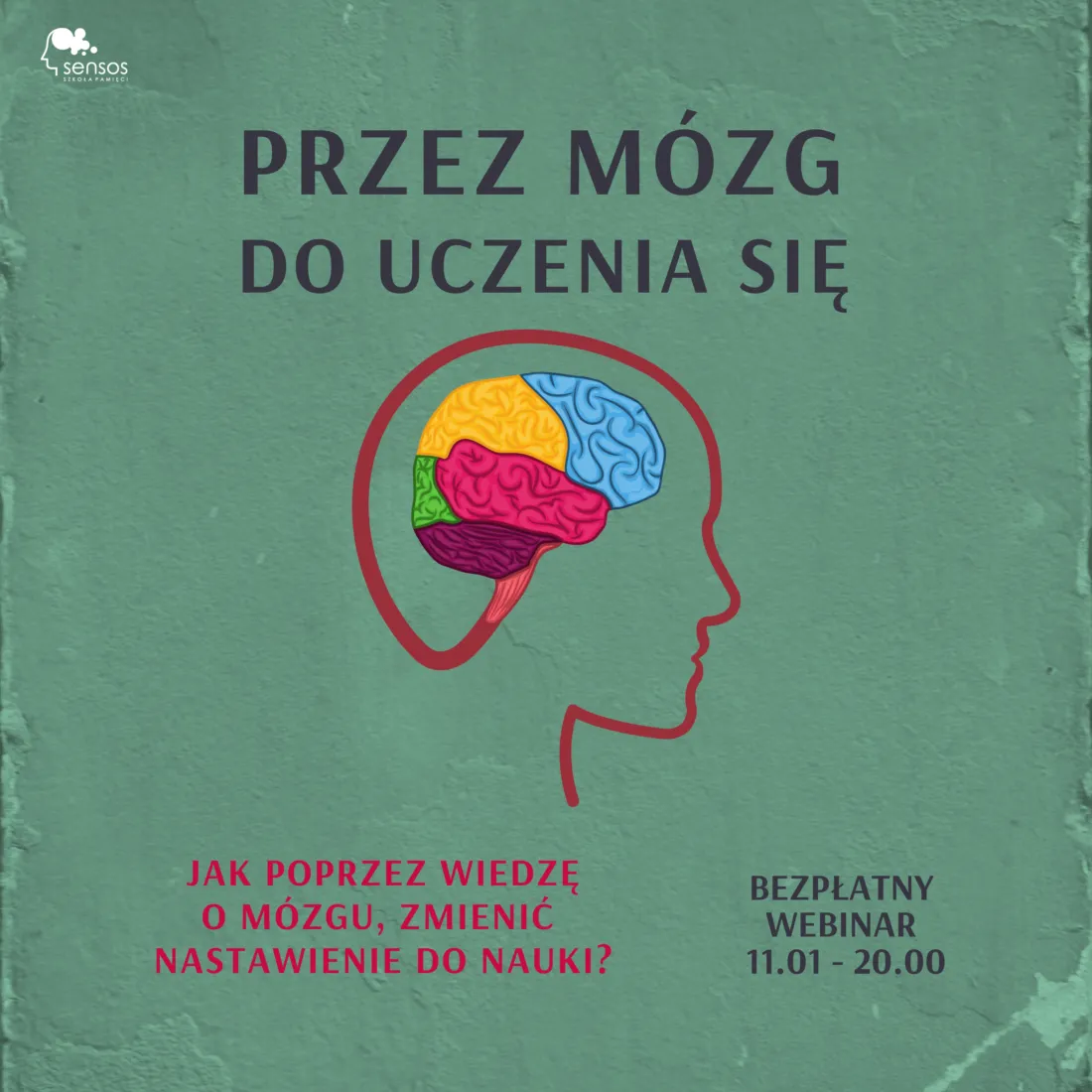 Zdjęcie Jak uczy się mózg pdf - poznaj sekrety nauki i efektywnego uczenia się
