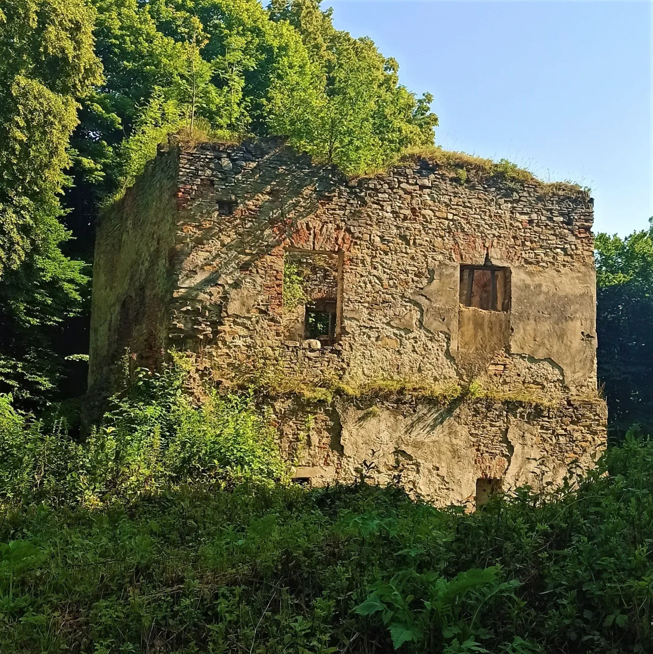 Zdjęcie Ruiny zamku w Dąbrówce – historia, zwiedzanie i tajemnice zapomnianego zabytku
