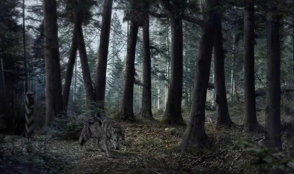 Zdjęcie Gdzie kręcono film Wataha? Fascynujące lokalizacje w Bieszczadach