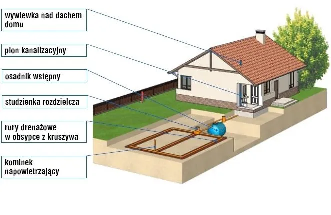 Zdjęcie Dokąd trafia woda po oczyszczalni? Nieoczywiste tajemnice ścieków