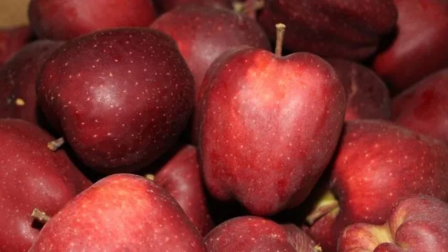 Zdjęcie Po ile jabłka na skupie? Styczeń 2026: ceny, trendy, prognozy
