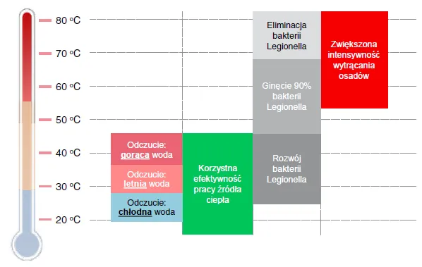 Zdjęcie Neonki jaka temperatura wody - unikaj błędów w hodowli ryb