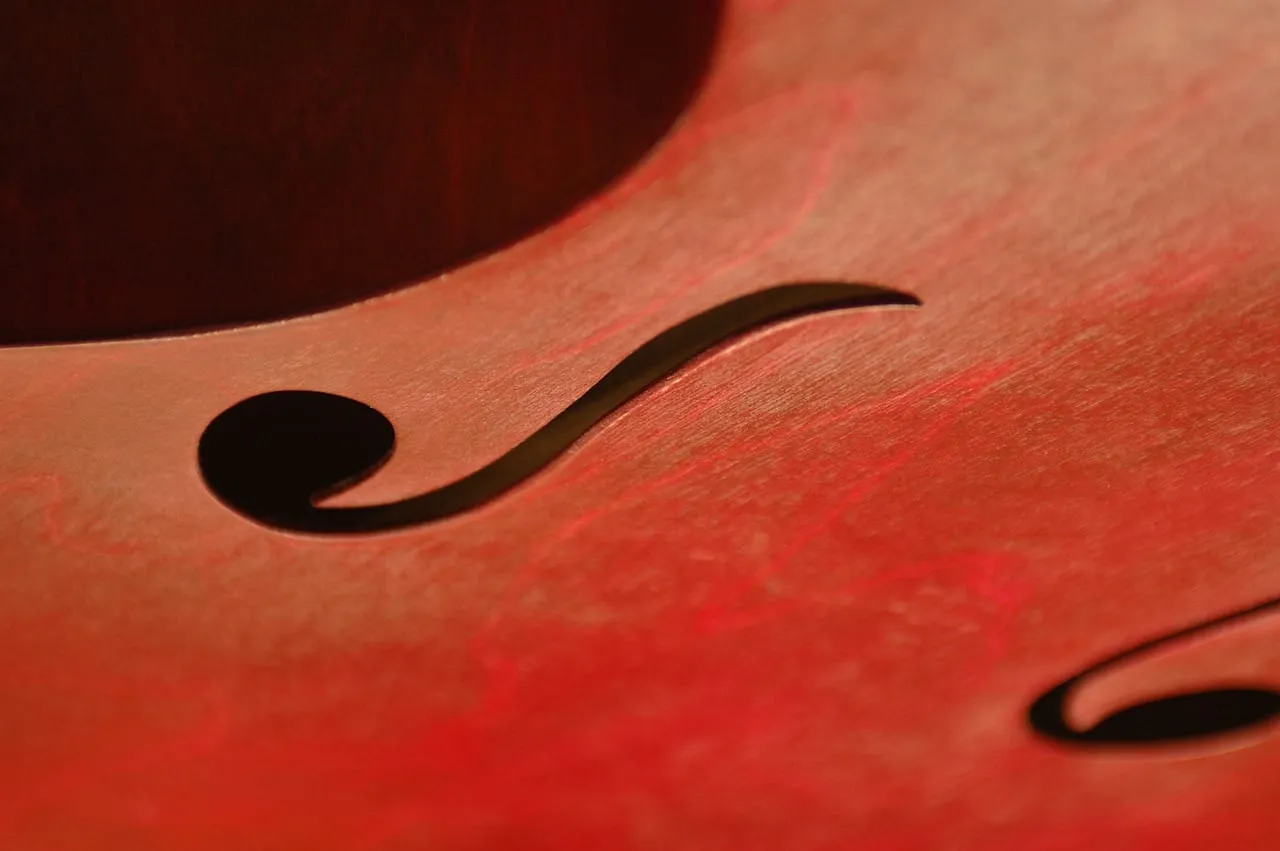 Zdjęcie Gitara i skrzypce jako instrumenty muzyczne - różnice i charakterystyka