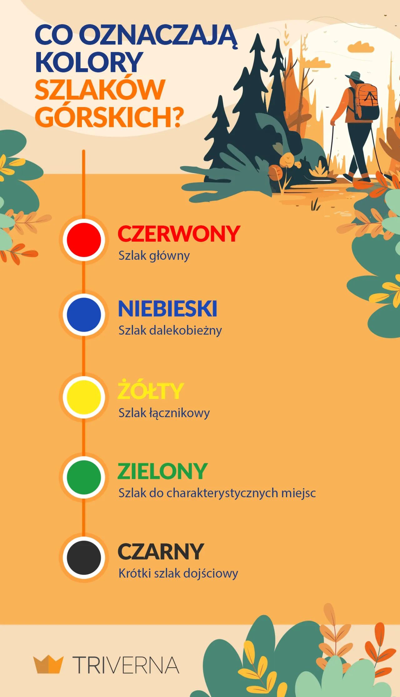 Zdjęcie Co oznaczają kolory szlaków w górach i jak je interpretować