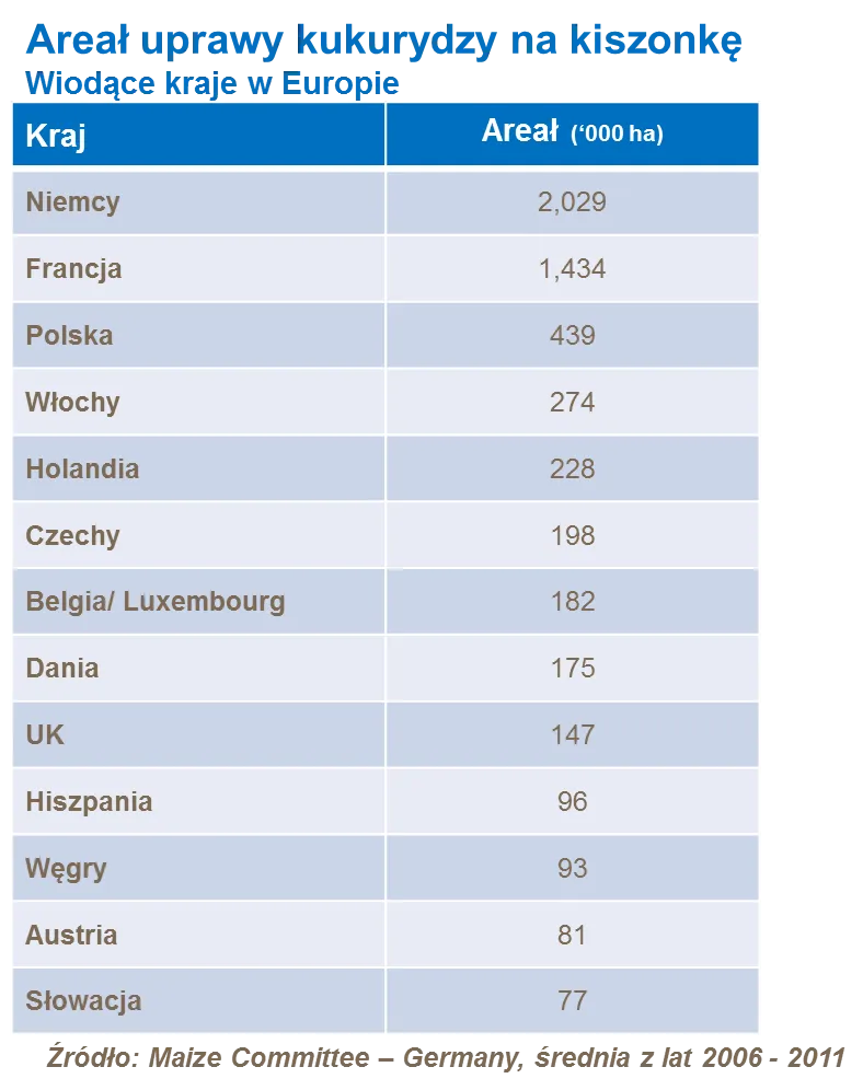 Zdjęcie Kukurydza gdzie jest uprawiana? Odkryj kluczowe obszary i warunki
