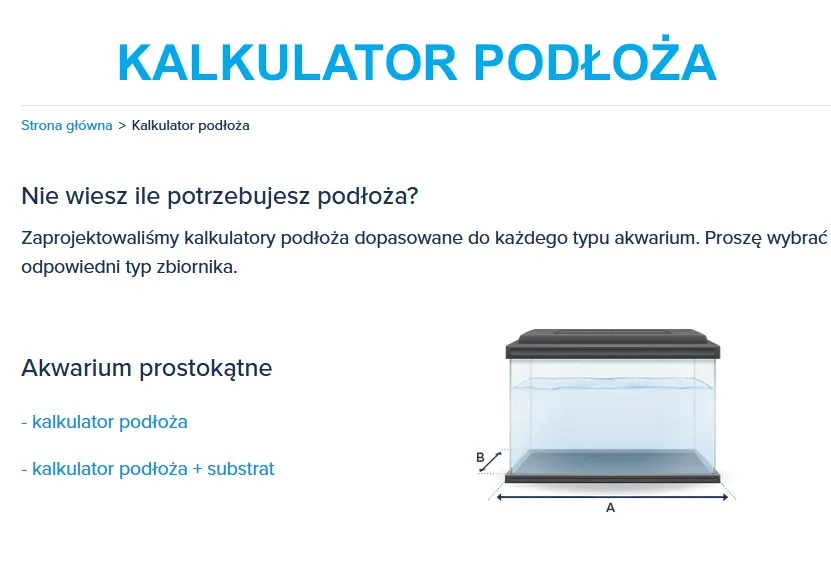 Zdjęcie Ile żwirku potrzeba do akwarium? Praktyczny poradnik doboru ilości i rodzaju żwirku