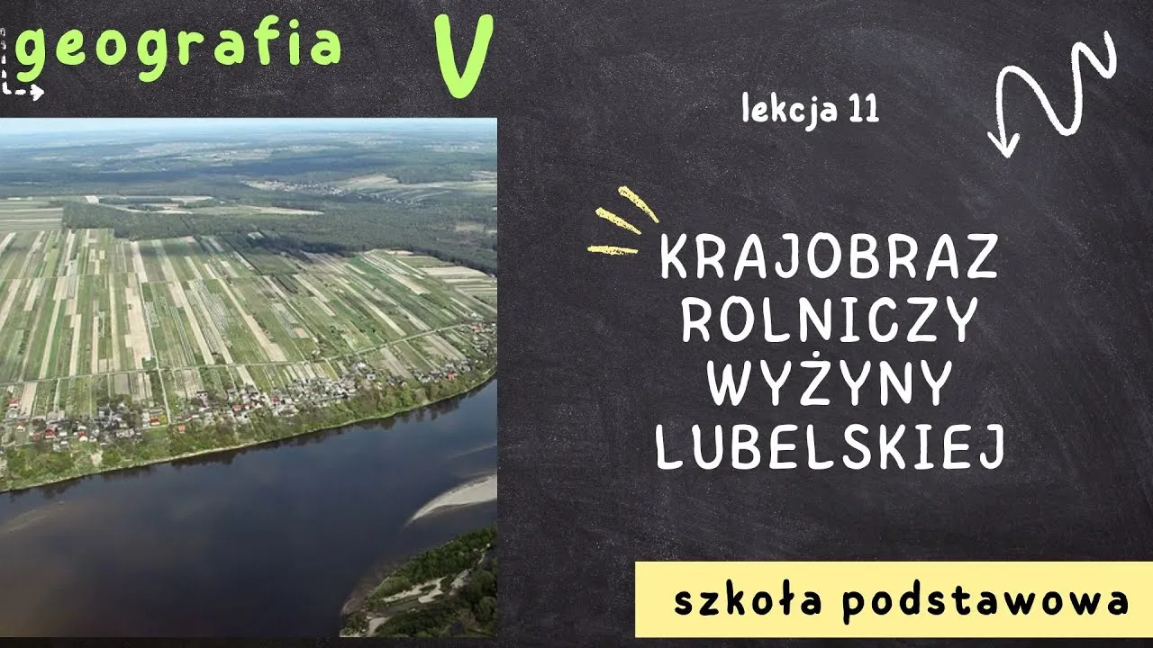Zdjęcie Co uprawia się na wyżynie lubelskiej? Odkryj zaskakujące rośliny