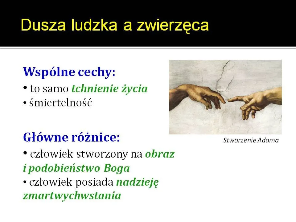 Zdjęcie Co to jest dusza ludzka według katechizmu? Zrozum jej znaczenie