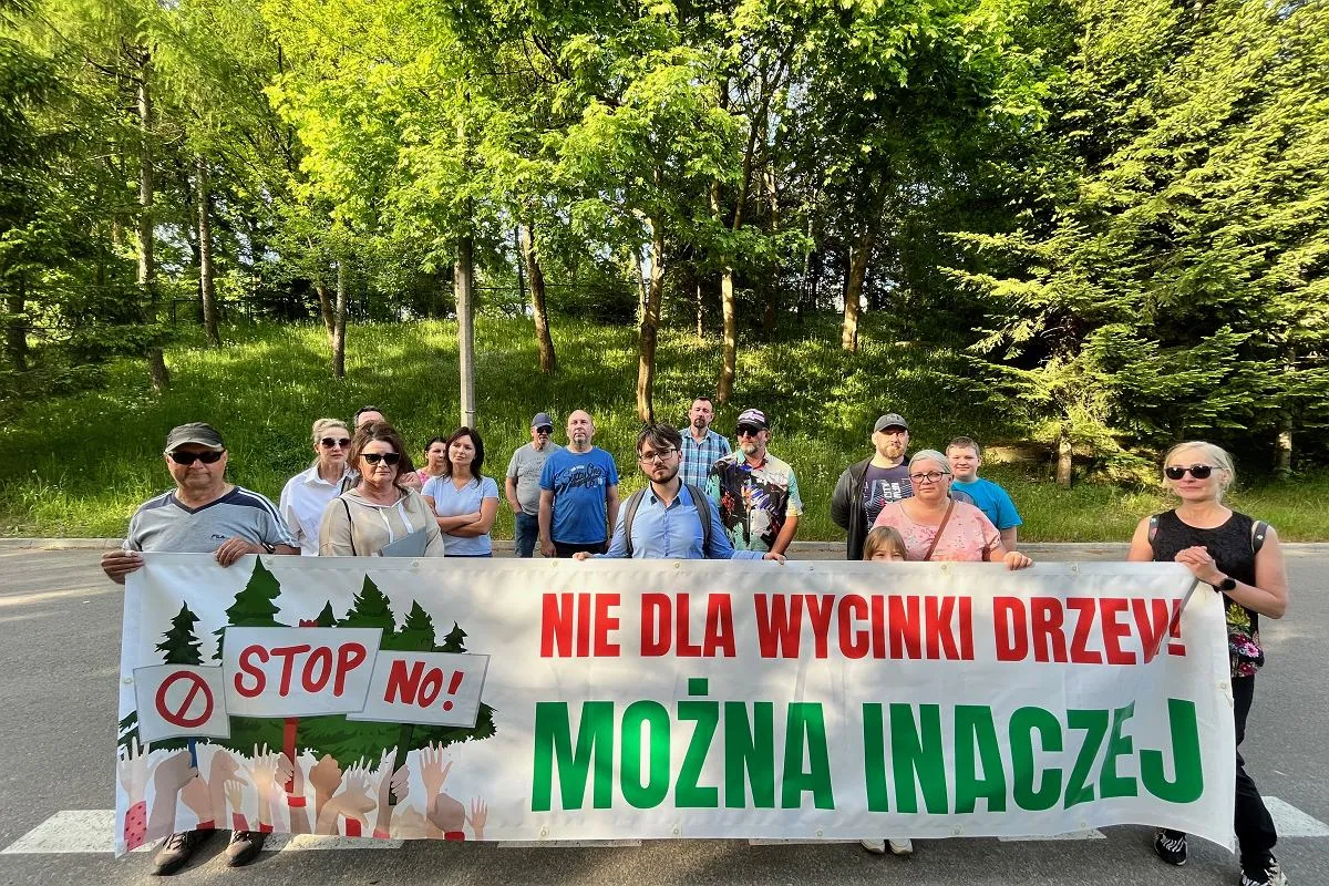 Zdjęcie Szpital planuje budowę farmy fotowoltaicznej kosztem drzew. Mieszkańcy niezadowoleni.