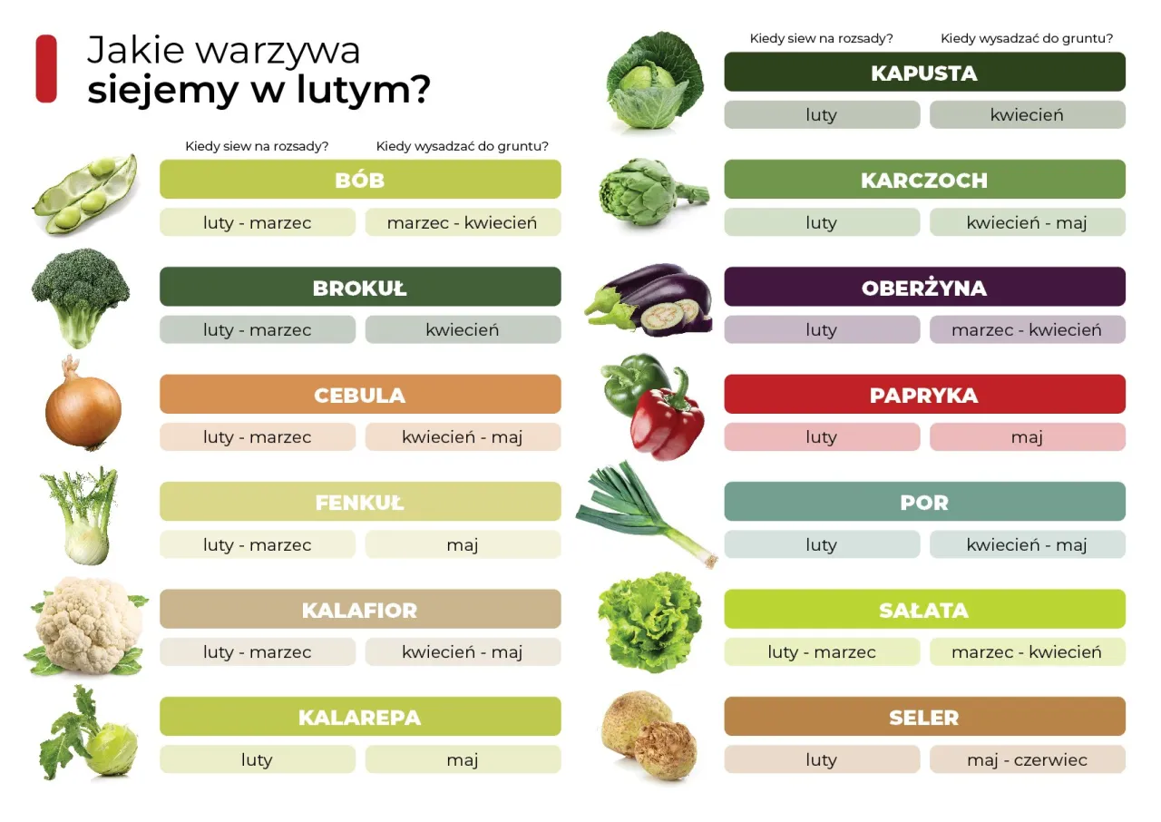 Zdjęcie Co siać w styczniu i lutym? Przyspiesz wiosnę w ogrodzie!