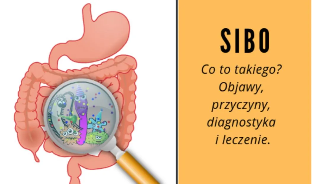 Zdjęcie Zespół SIBO: 9 zaskakujących objawów, które musisz znać