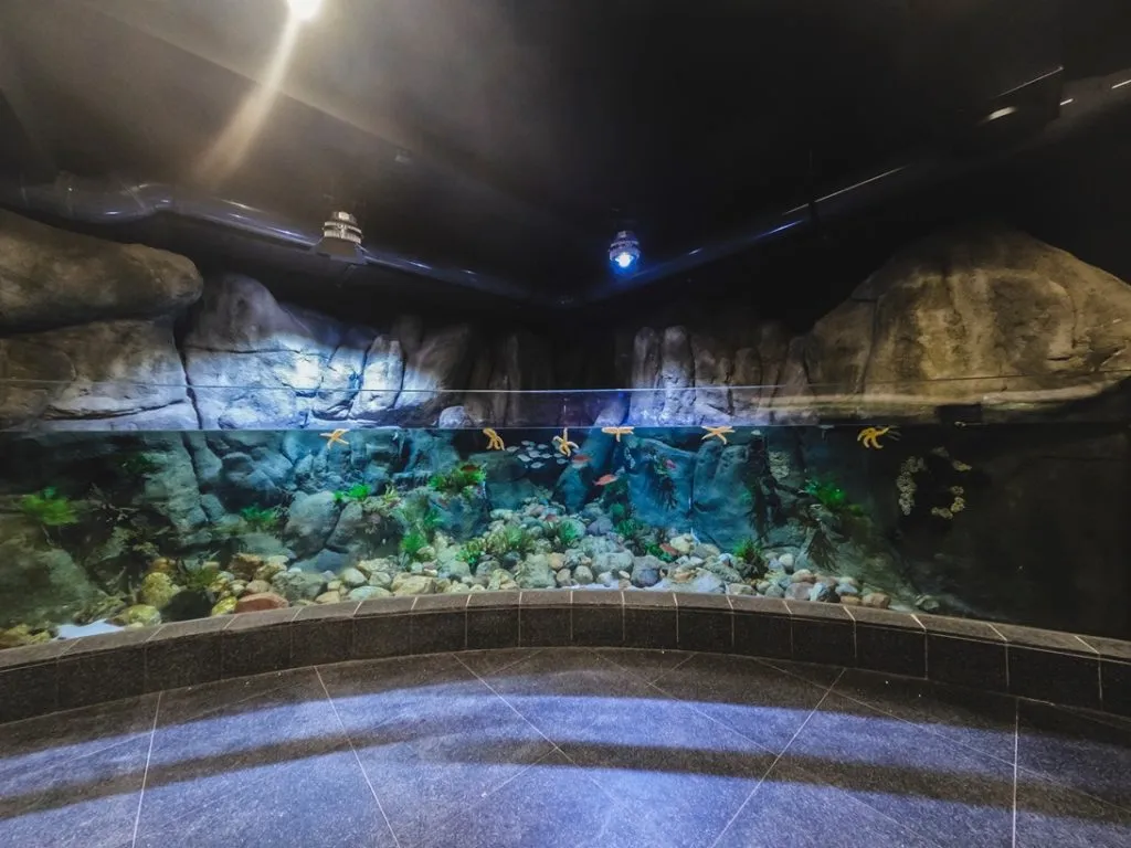 Zdjęcie Oceanarium Gdyńskie - Fascynujące atrakcje i informacje dla odwiedzających