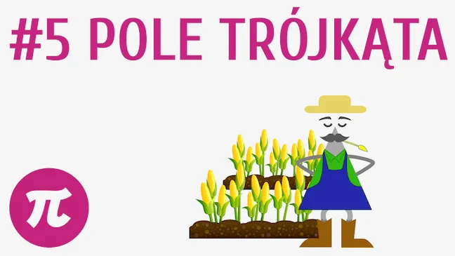 Zdjęcie Jak obliczyć pole trójkąta - proste metody i najczęstsze błędy