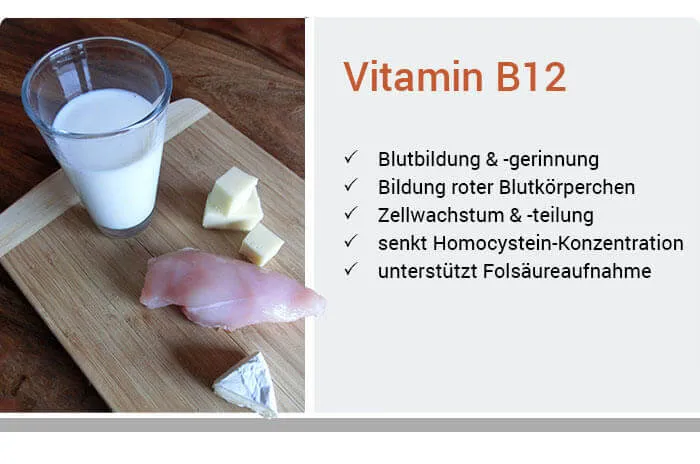 Zdjęcie Vitamin B12: Wichtige Funktionen, Mangelerscheinungen und Nahrungsquellen