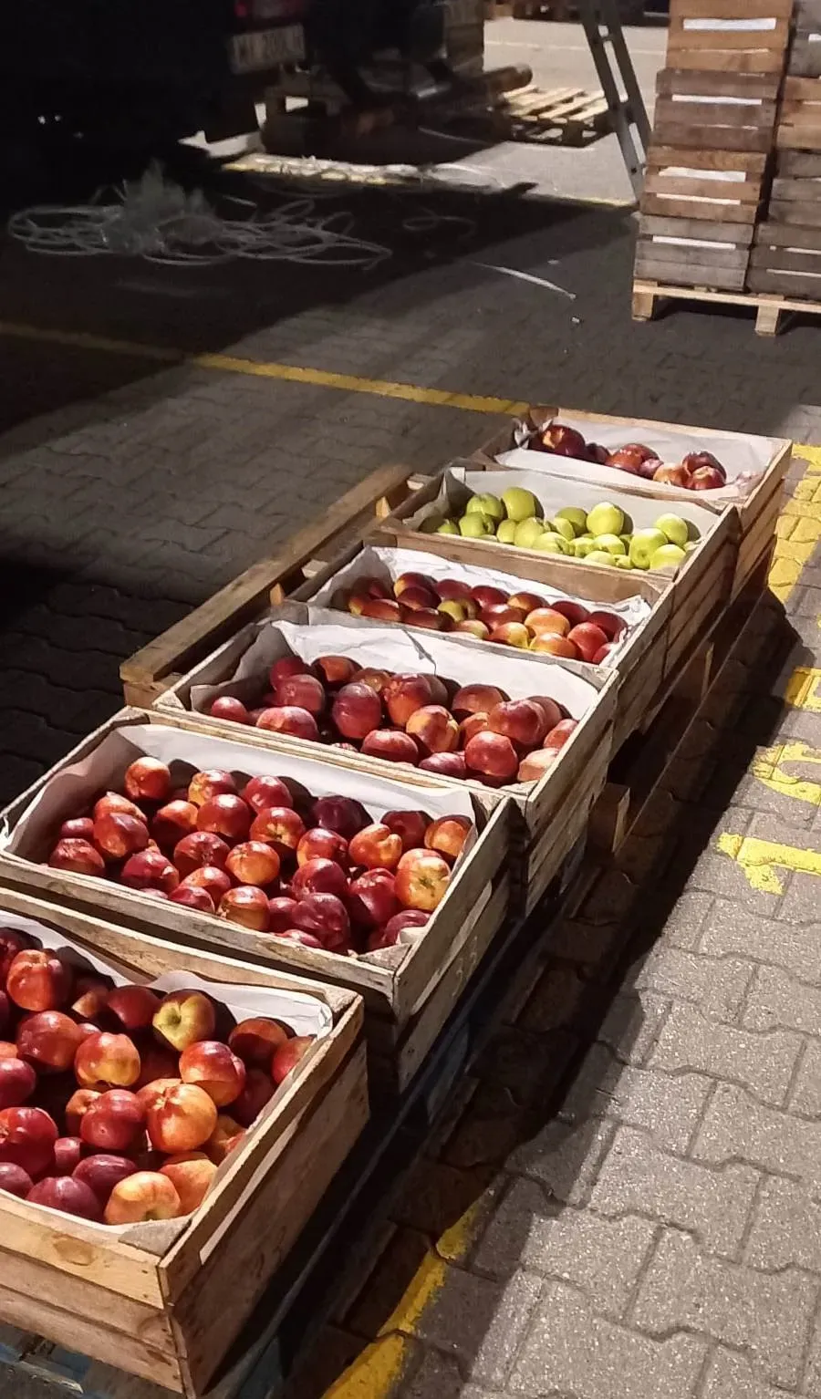 Zdjęcie Po ile jabłka na skupie? Sprawdź aktualne ceny i trendy!