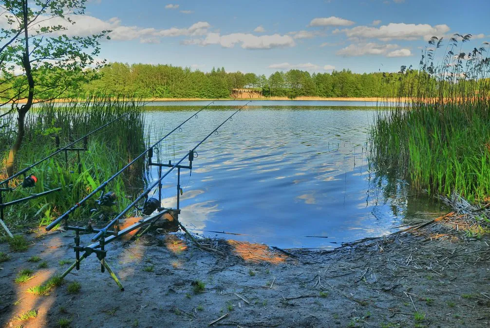 Zdjęcie Łowisko karpiowe Wiktoria – idealne miejsce na wędkarską przygodę