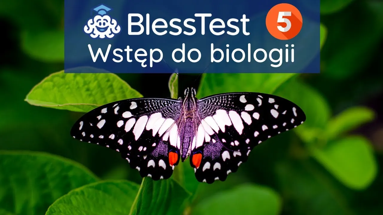 Zdjęcie Czym zajmuje się biologia i jak wpływa na nasze życie codzienne