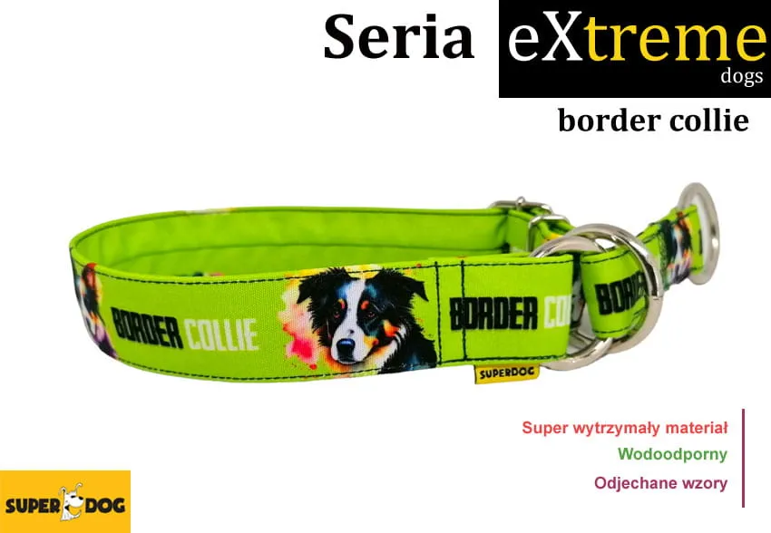 Zdjęcie Jaka obroża dla border collie - wybierz komfort i bezpieczeństwo dla psa