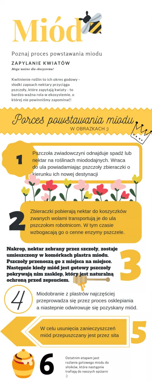 Zdjęcie Jak powstaje miód - obrazkowa historia dla dzieci o pszczołach