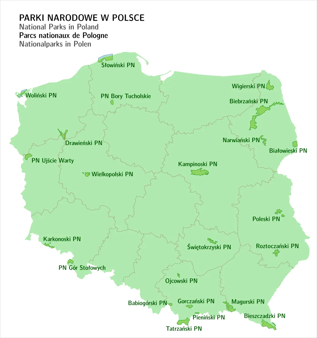 Zdjęcie Jaki park narodowy ma symbol łosia? Odkryj jego unikalne znaczenie