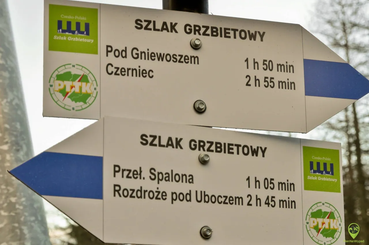 Zdjęcie Zdobądź szczyt Jagodnej! Oto najlepsze szlaki dla początkujących