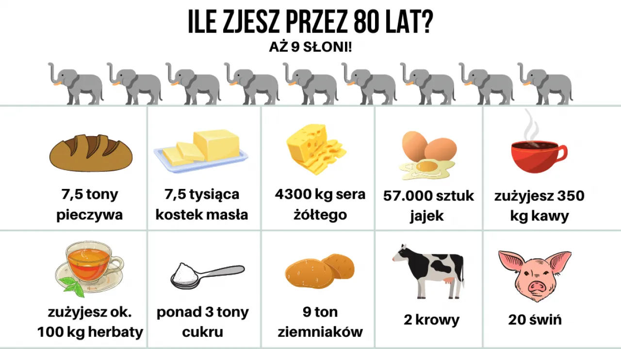 Zdjęcie Ile waży tona? Dowiedz się, ile kilogramów kryje w sobie