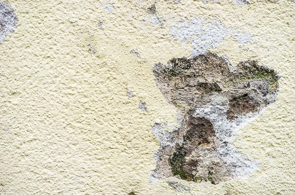 Zdjęcie Jak załatać dziurę w elewacji - uniknij kosztownych napraw i błędów