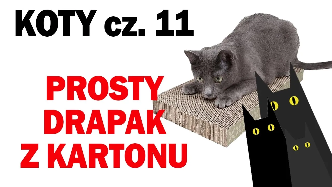 Zdjęcie Jak zrobić drapak dla kota z kartonu, by zaoszczędzić na meblach
