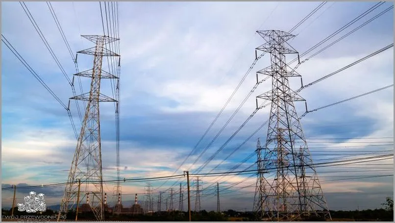 Zdjęcie Prosty sposób na wypełnienie oświadczenia odbiorcy końcowego energii elektrycznej