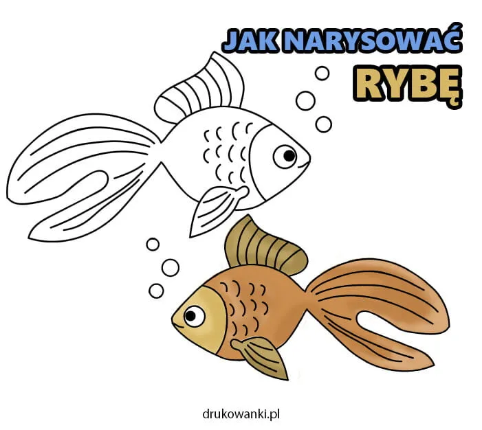 Zdjęcie Jak narysować ryby – proste techniki i triki dla każdego rysownika